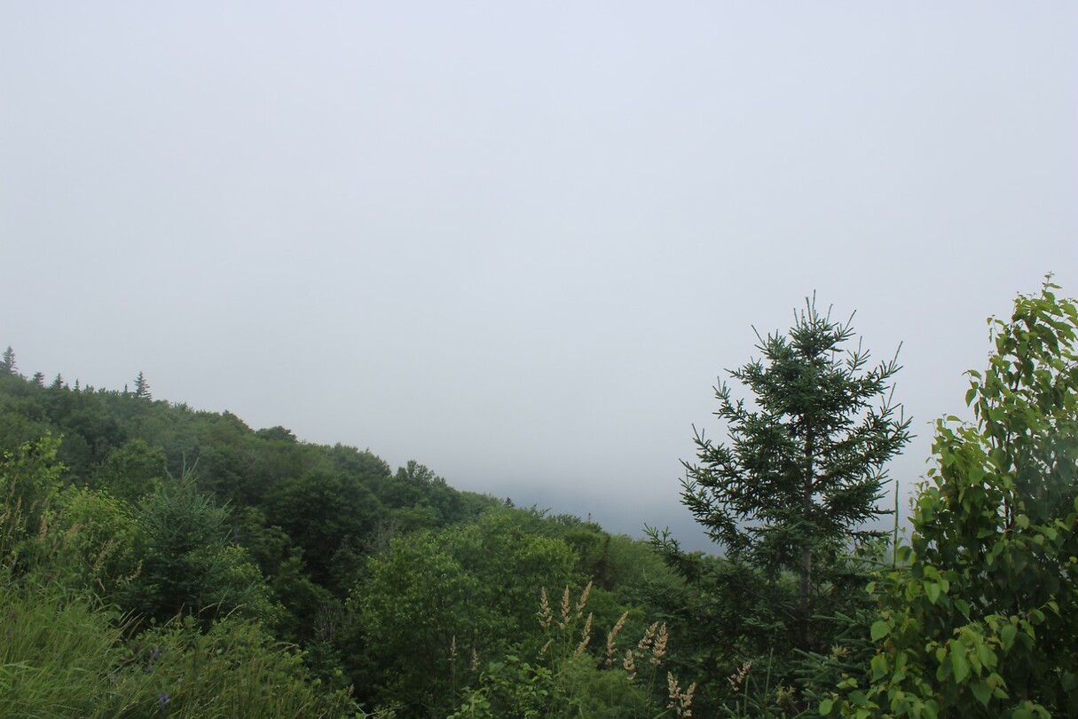 Eerste stop: mist