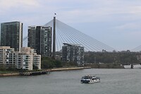 Anzac Bridge 2