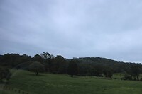 Onderweg naar Mt Tamborine