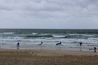 Schoolies leren surfen