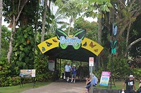 Butterfly Sanctuary