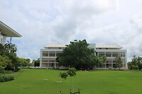 Darwin 2