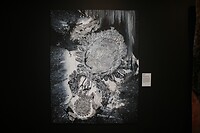 Aboriginal Art 3