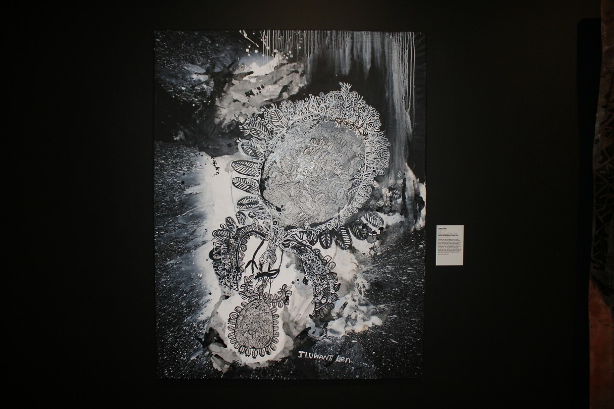 Aboriginal Art 3
