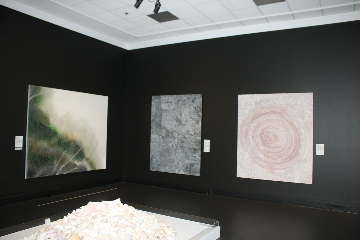 Aboriginal Art 4