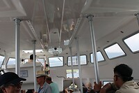 In de hete tenderboot 2