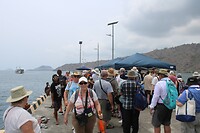 De lange pier