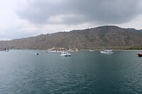 Haventje van Komodo