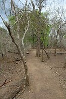 The long and hot road