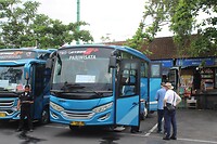 Bus nr 13