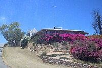 Huis met bougainville
