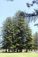 Park 2