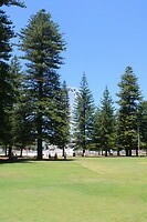 Park 3