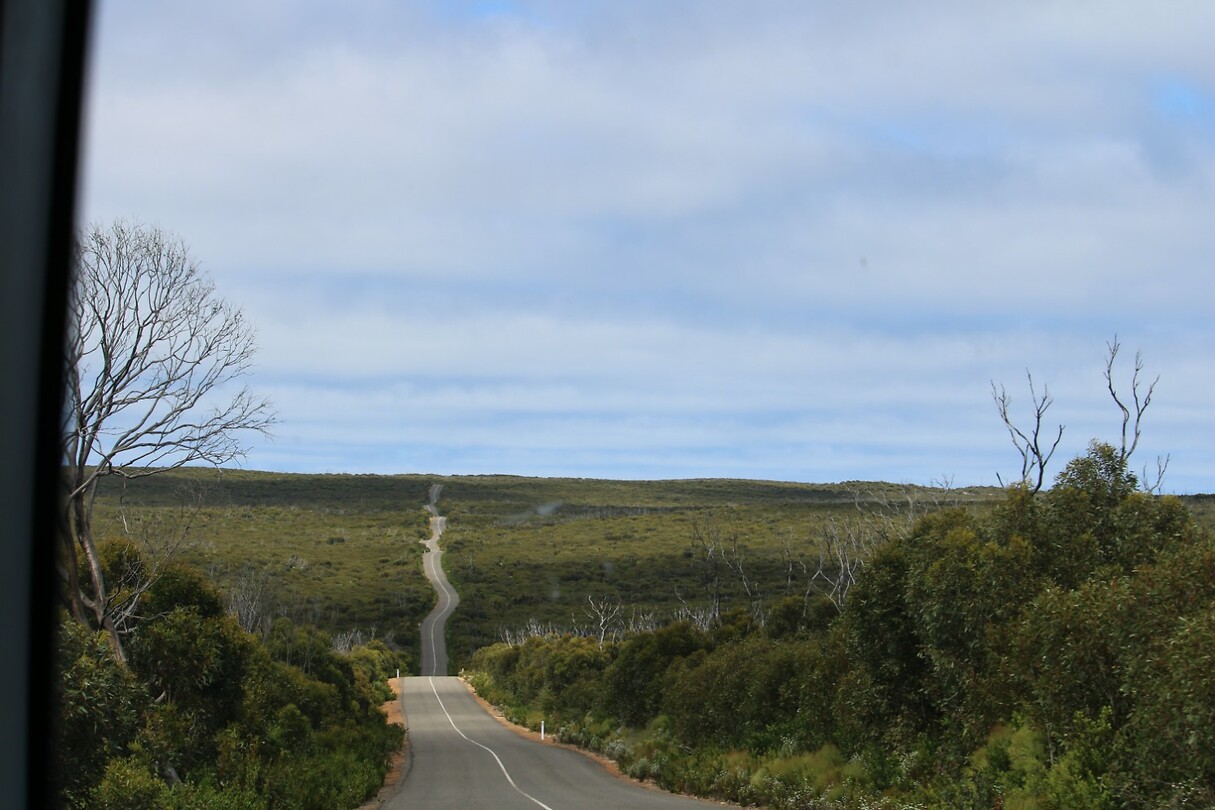 The drunken road
