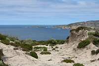 Kust bij the Remarkable Rocks