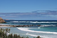 Zeeleeuwenstrand
