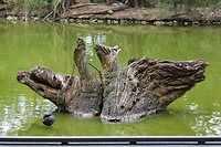 Houten vogels