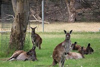 IMG_6906