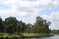Natuur langs de Yarra