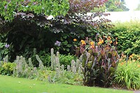 Fitzroy garden