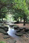 Fitzroy Gardens