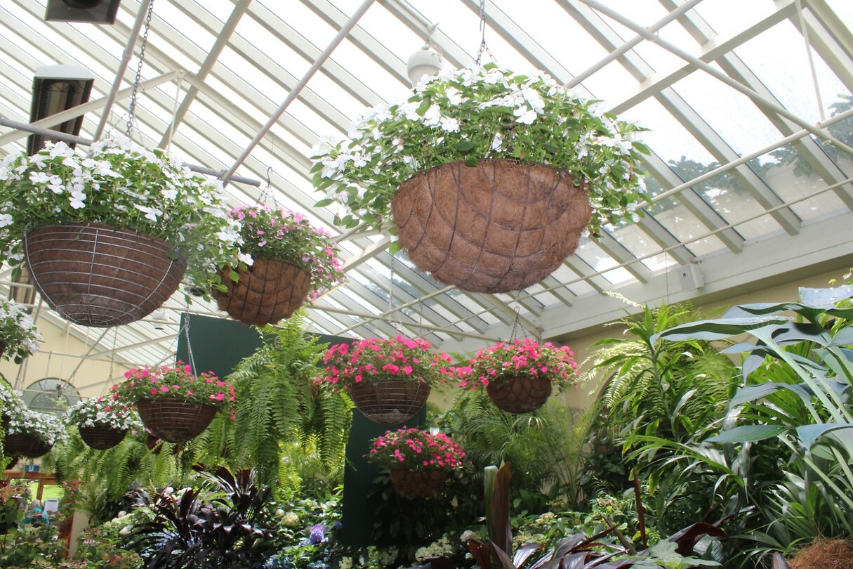 In de conservatory
