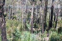 De airwalk
