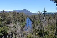 De Huon