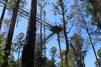 De airwalk van onderen