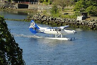 0DSC00793