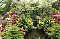 Gardens33