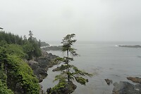 Ucluelet28