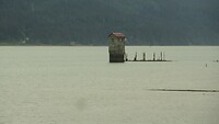 DSC01181