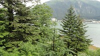 DSC01185