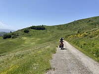 3154C0C9-27D8-45C3-90EE-5764659916E9