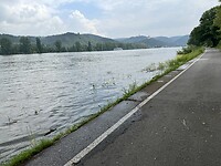 IMG_5486