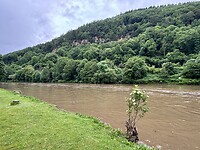 IMG_5593