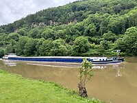 IMG_5590