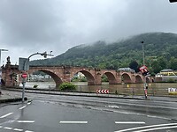 IMG_5584