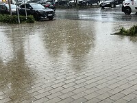IMG_5581