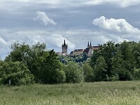 IMG_5606