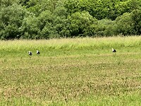IMG_5604