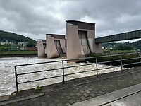 IMG_5595