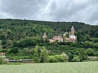 IMG_5599