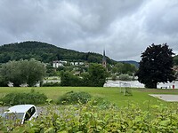 IMG_5596