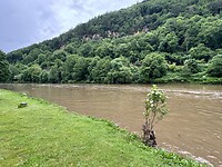 IMG_5592