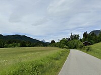 IMG_5782