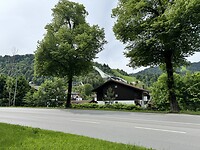 IMG_5780