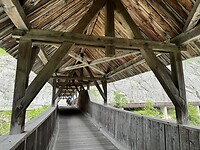 IMG_5841