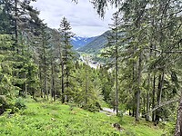 IMG_5871